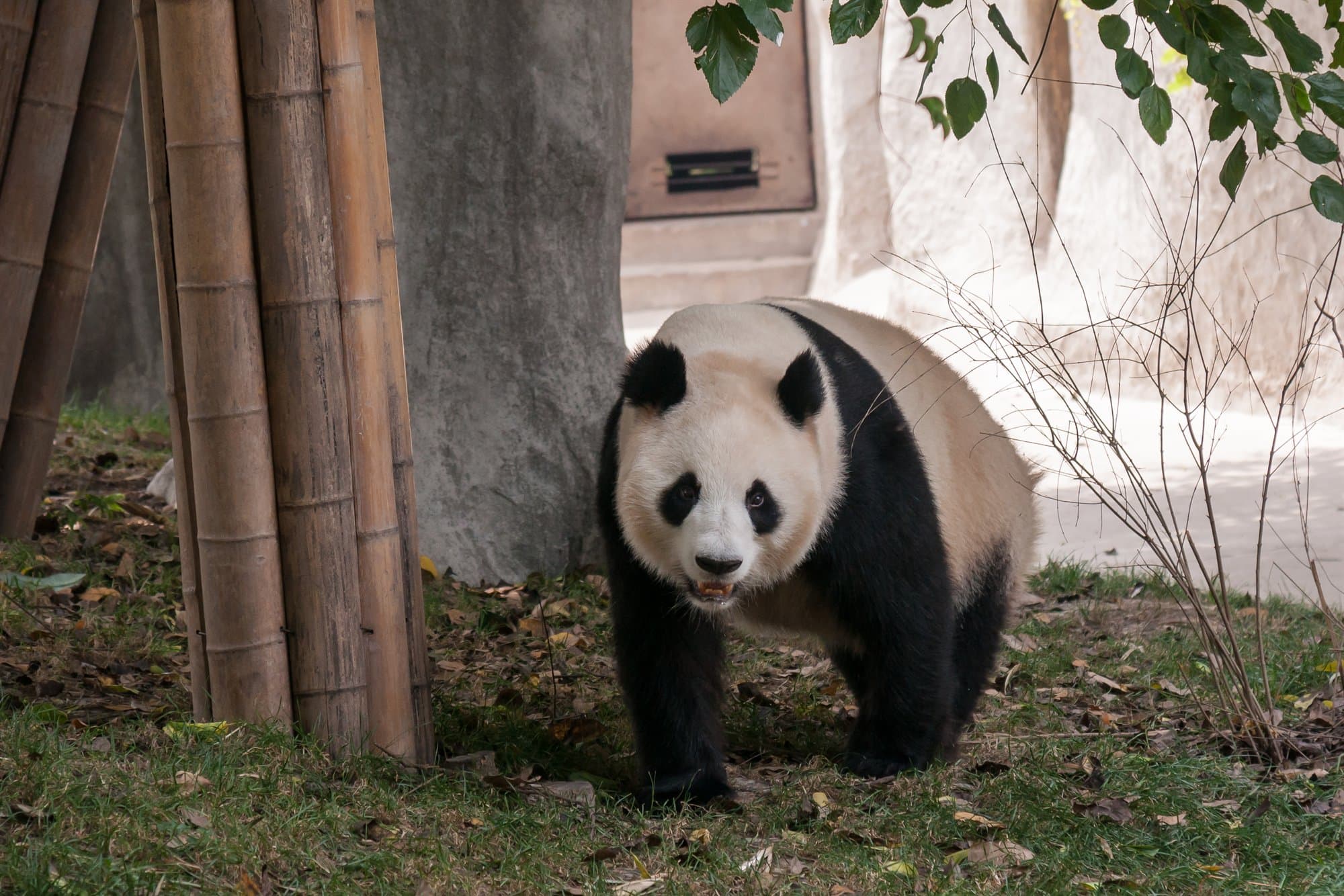 Chengdu, Southwest China