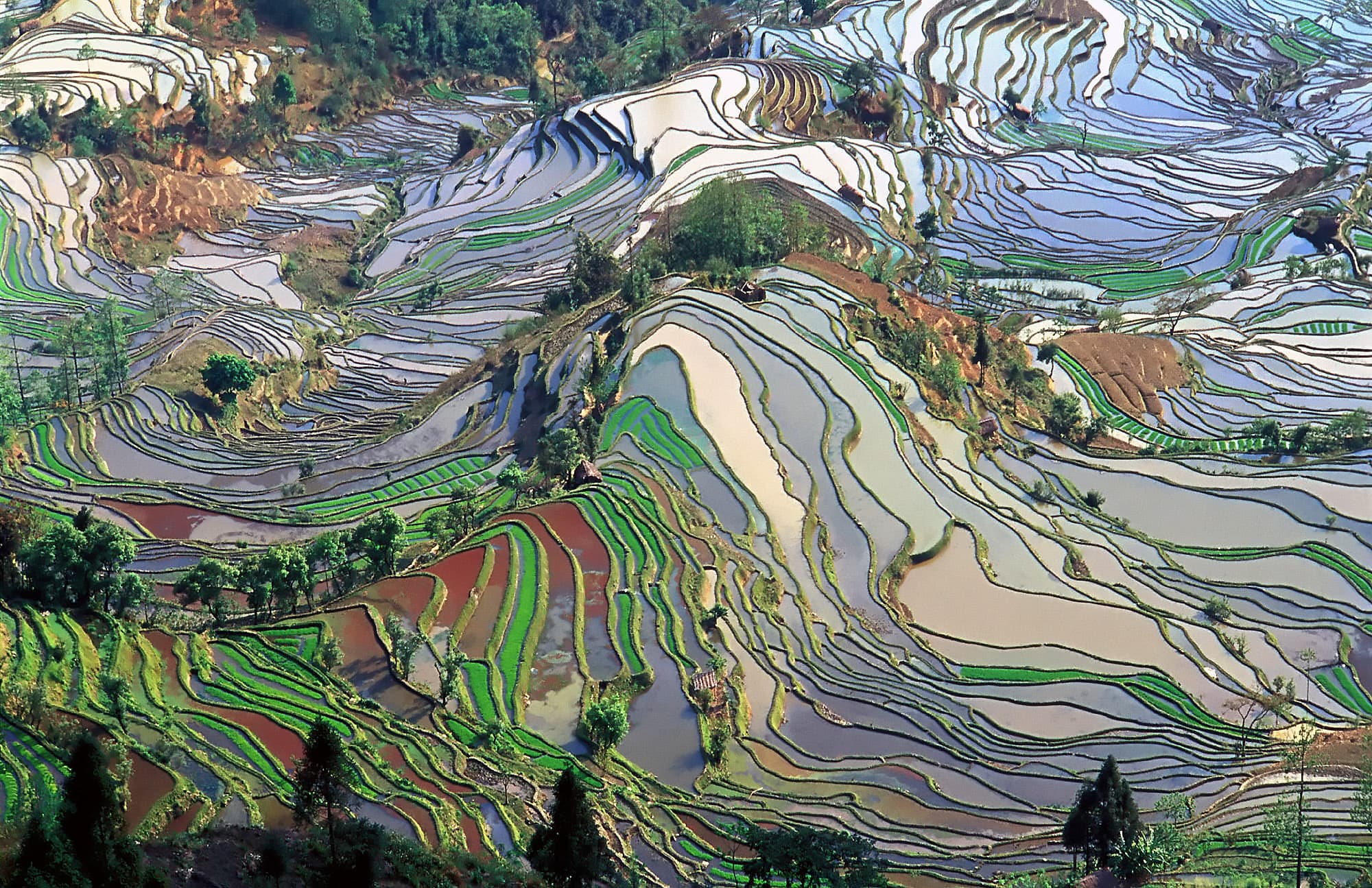 Yunnan, Southwest China